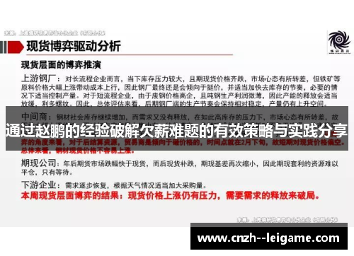 通过赵鹏的经验破解欠薪难题的有效策略与实践分享