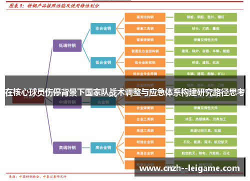 在核心球员伤停背景下国家队战术调整与应急体系构建研究路径思考 在核心球员伤停背景下国家队战术调整与应急体系构建研究路径思考
