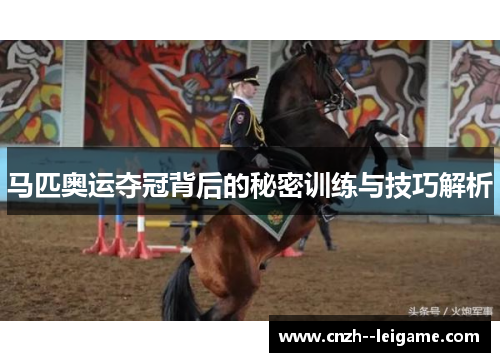 马匹奥运夺冠背后的秘密训练与技巧解析 马匹奥运夺冠背后的秘密训练与技巧解析